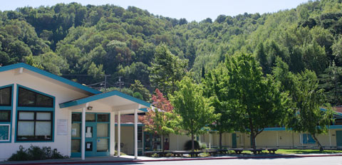 Manor School